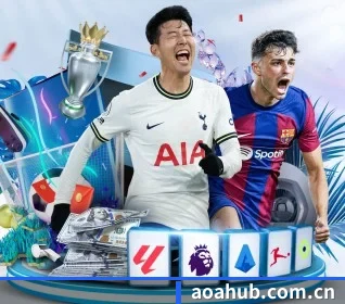 AOA体育 APP 界面